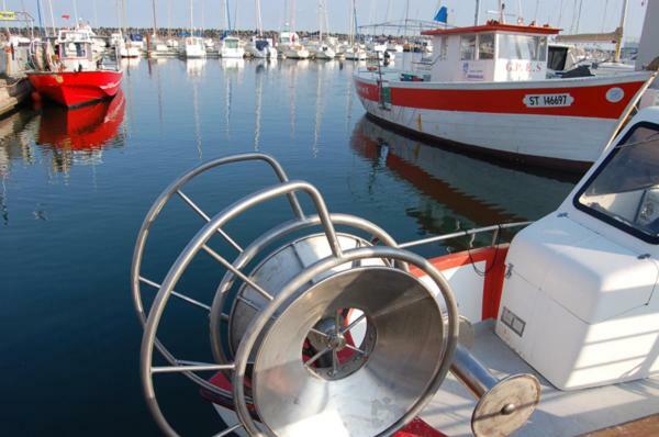 T3 Vue Mer Et Plage, Avec Wifi Et Parking Saint-Pierre-la-Mer  外观 照片